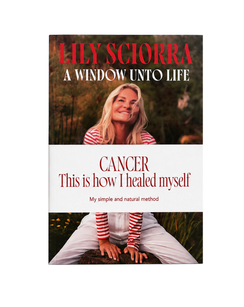 A Window Unto Life — Lily Sciorra (ENG version)